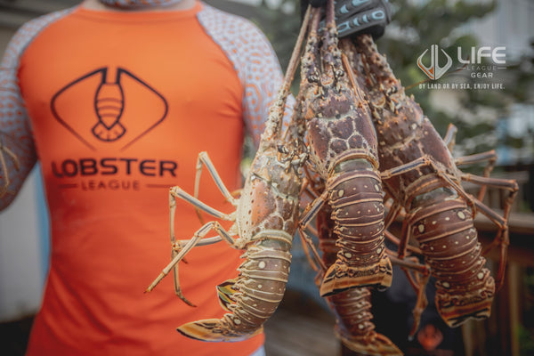 Florida Spiny Lobster Mini-Season 2024: Fun, Family, and Fresh Catches