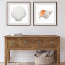 Shark Drawer Pulls and Knobs- Shark Handles | Ocean Theme Drawer Pulls and Knobs | Coastal Drawer Pulls | Nautical Drawer Pull | Sea Life Cabinet Pull