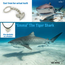 Shark Tooth Necklace for Men and Women -Shark Tooth Pendant, Shark Gift, Gifts for Shark Lovers, Beachy Jewelry, Shark Tooth Charm