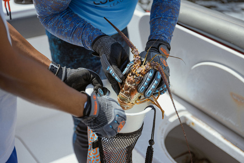 Lobster Catch Bag