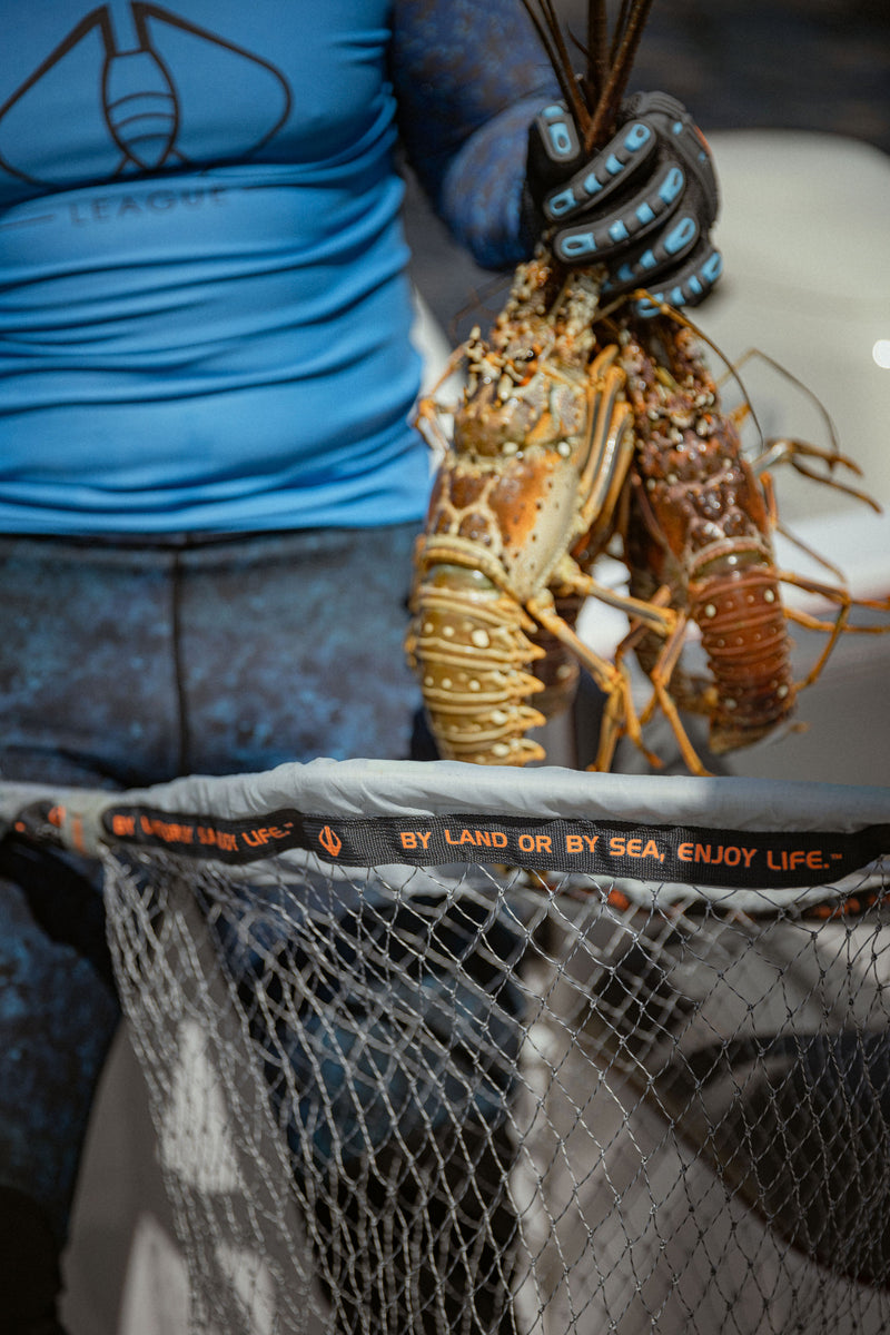lobster card sleeves Roll Kit - 8 Pack (Frozen) by Pauli's North End and moisture Lobster Net Kit