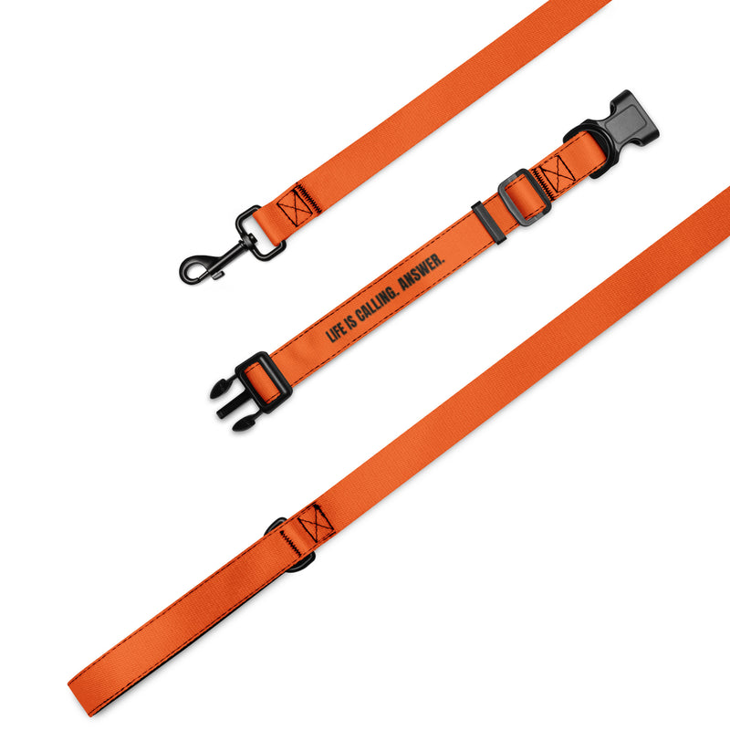 LIFE IS CALLING. ANSWER. - Pet Collar & Leash - By Life League Gear - Orange